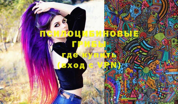 бошки Аркадак