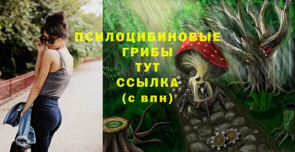 бошки Арсеньев
