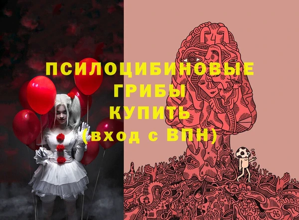 бошки Арсеньев