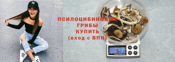 ECSTASY Армянск