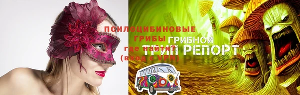 бошки Аркадак