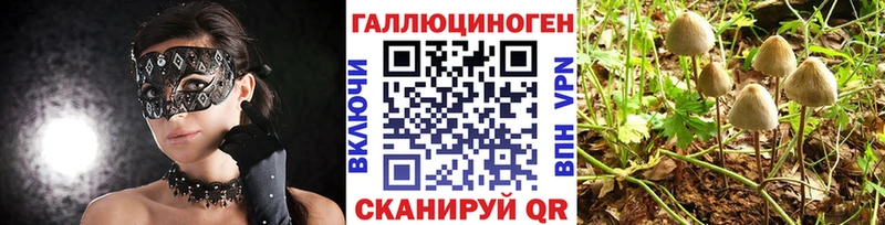 Псилоцибиновые грибы Magic Shrooms  MEGA ссылки  Няндома 